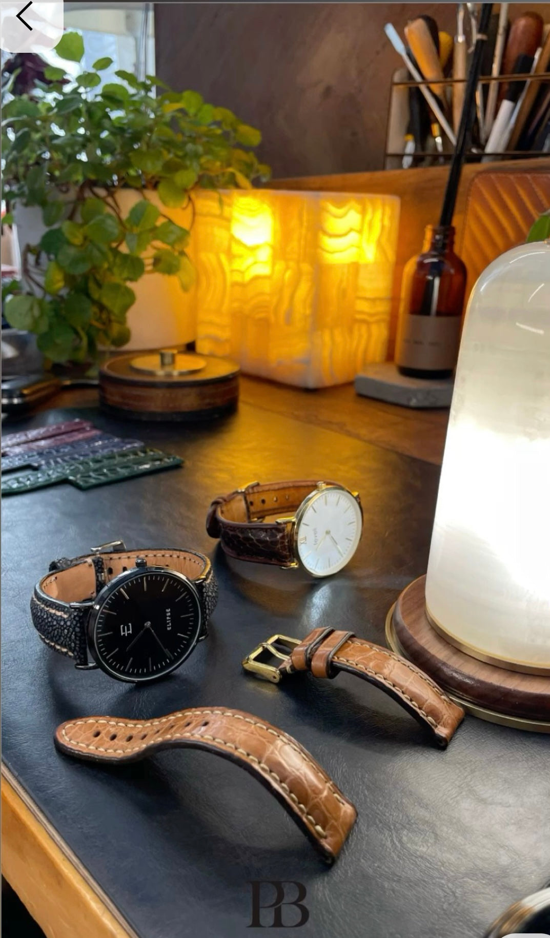 Galuchat Watch Strap